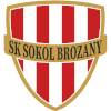 Sokol Brozany