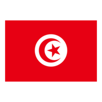 Tuynidi 