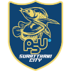 Surat Thani City