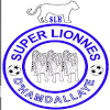 Super Lionnes (w)