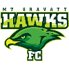 Mount Gravatt Hawks